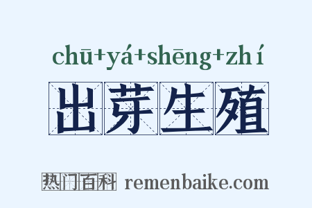 出芽生殖是什么意思的图片